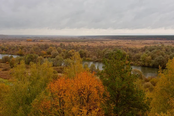 Осінь барвисте листя над озером з красивими лісами в червоно-жовтому кольорі . — стокове фото