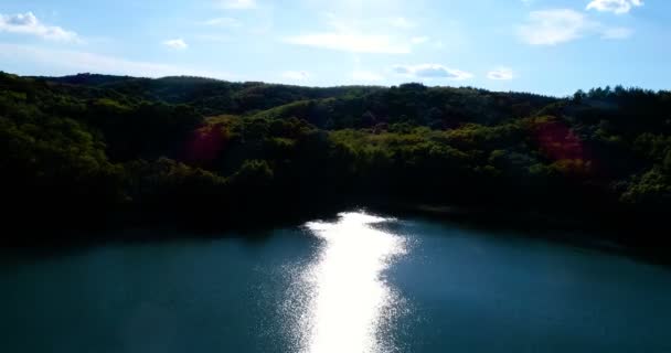 Lake surrounded by forest with air — Stock Video