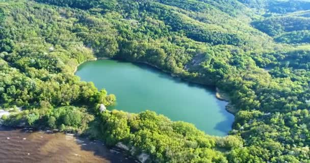 Hava ormanıyla çevrili Gölü — Stok video
