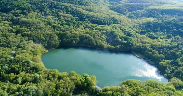 Lago rodeado de bosque con aire — Vídeos de Stock