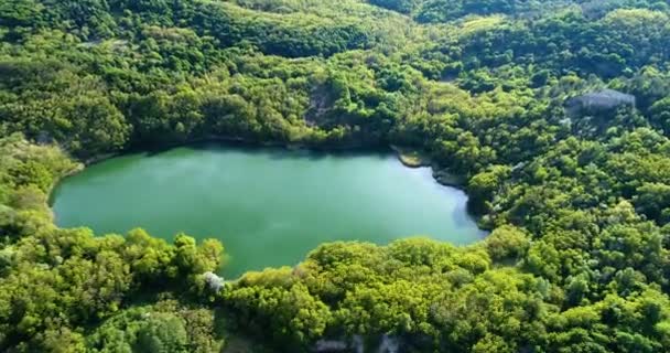 Lake surrounded by forest with air — Stock Video