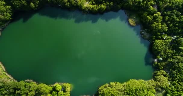 Lake surrounded by forest with air — Stock Video