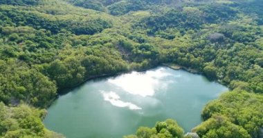 Hava ormanıyla çevrili Gölü