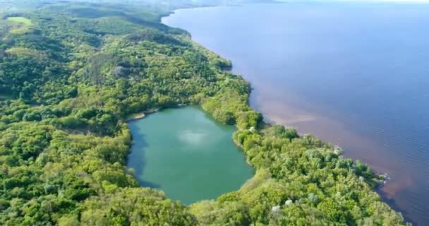 森林与空气环绕的湖泊 — 图库视频影像
