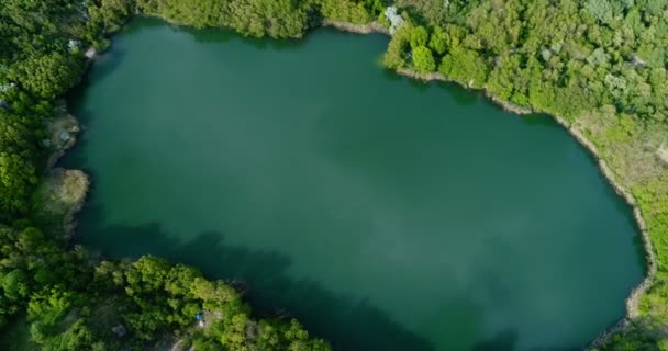 Lago rodeado de bosque con aire — Vídeo de stock