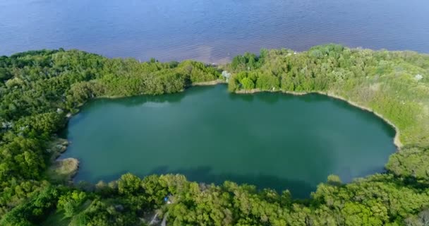 Lake surrounded by forest with air — Stock Video