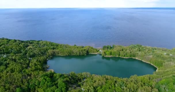 Jezioro otoczone lasem z powietrza — Wideo stockowe