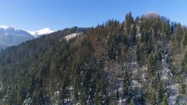 Drone dans un pays des merveilles hivernal . — Video