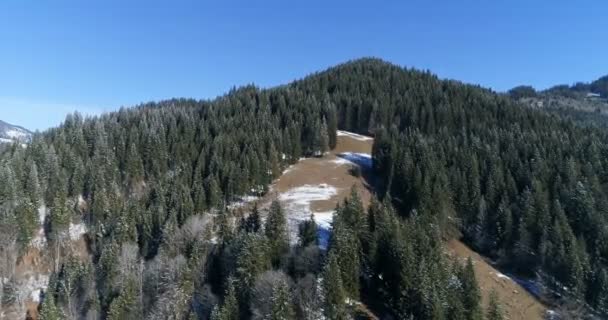 Drone in un paese delle meraviglie invernale . — Video Stock