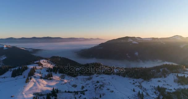 Drone in een winter wonderland. — Stockvideo