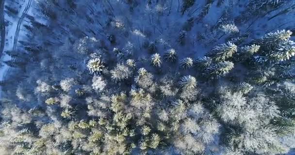 Drone σε ένα χειμωνιάτικο. — Αρχείο Βίντεο