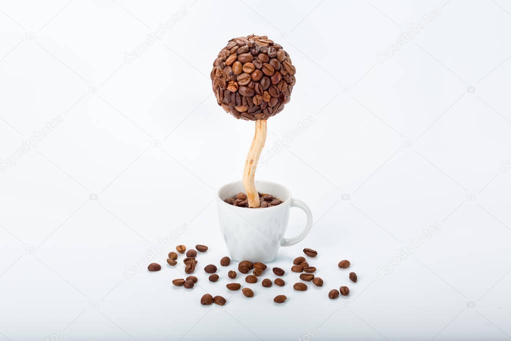 Coffee tree in a cup