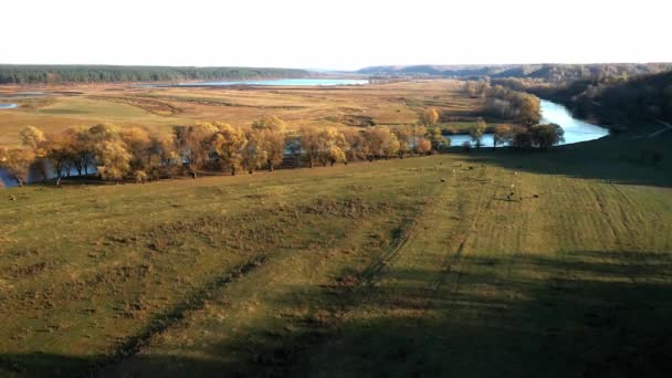 Journée ensoleillée d'automne dans un parc naturel, prise de vue aérienne 