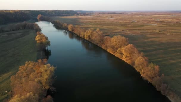 Napos őszi nap a természetvédelmi parkban, légi felvétel — Stock videók