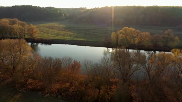Sonniger Herbsttag im Naturpark, Luftaufnahme — Stockvideo