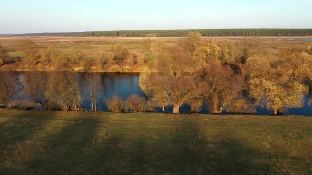 一个阳光灿烂的秋日，在一个自然公园里，空中拍摄 — 图库视频影像