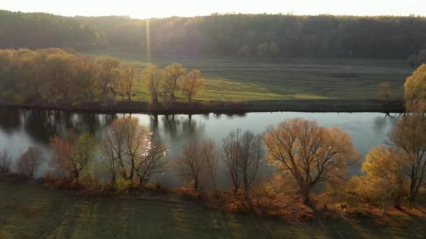 Slunečný podzimní den v přírodním parku, letecký záběr — Stock video