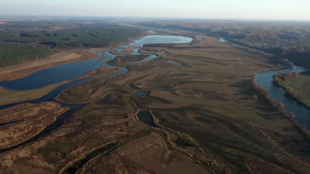 Zonnige herfstdag in een natuurpark, luchtfoto — Stockvideo