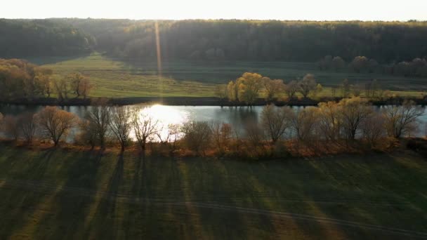 Slunečný podzimní den v přírodním parku, letecký záběr — Stock video