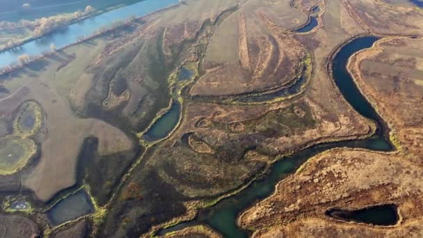 Sunny autumn day in a nature park, aerial shot — Stock Video