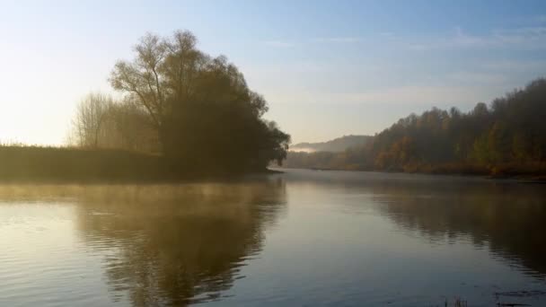 Tramonto arancione sul fiume e l'albero a sinistra . — Video Stock