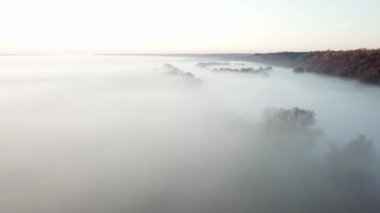 4K hava bakış açısı. Nehrin üzerinde güneşli ve sisli bir sabah, güneşin altında sis..