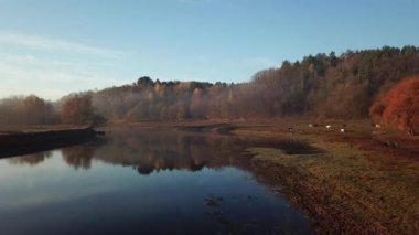 4K hava bakış açısı. Nehrin üzerinde güneşli ve sisli bir sabah, güneşin altında sis..