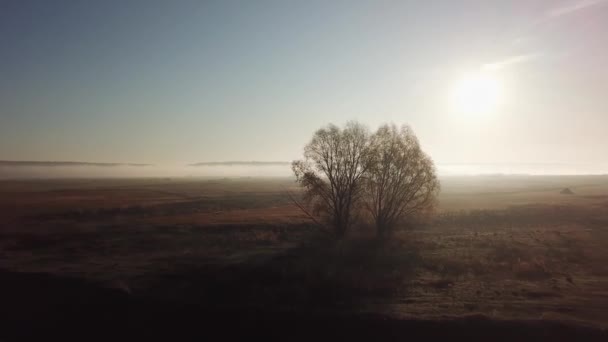 4k空からの眺め川の上に晴れと霧の朝、太陽の下で霧。. — ストック動画