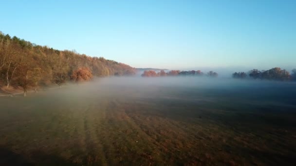 4k vanuit het oogpunt van de lucht. Zonnige en mistige ochtend over de rivier, mist in de zon. — Stockvideo