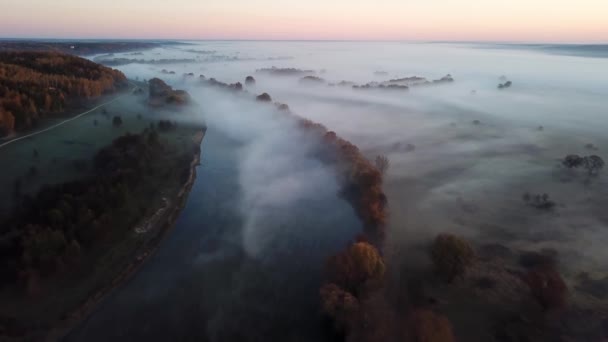 Punto di vista aereo 4K. Mattina soleggiata e nebbiosa sul fiume, nebbia al sole . — Video Stock