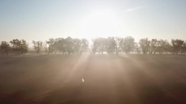 4k vanuit het oogpunt van de lucht. Zonnige en mistige ochtend over de rivier, mist in de zon. — Stockvideo