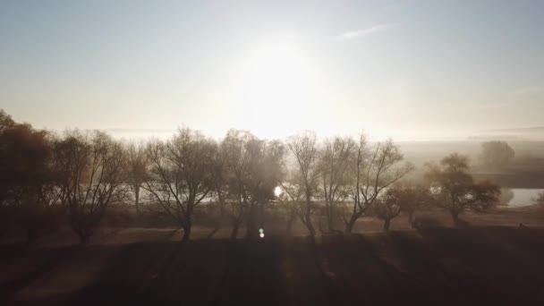 Punto di vista aereo 4K. Mattina soleggiata e nebbiosa sul fiume, nebbia al sole . — Video Stock