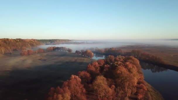 Punto de vista aéreo 4K. Mañana soleada y nebulosa sobre el río, niebla al sol . — Vídeos de Stock