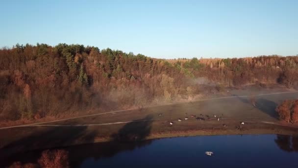 4k antenn synvinkel. Solig och dimmig morgon över floden, dimma i solen. — Stockvideo