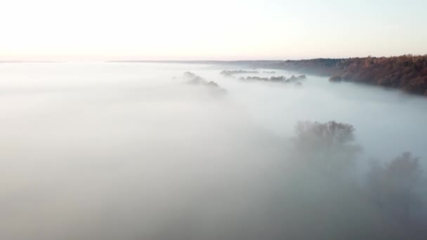 4K hava bakış açısı. Nehrin üzerinde güneşli ve sisli bir sabah, güneşin altında sis.. — Stok video