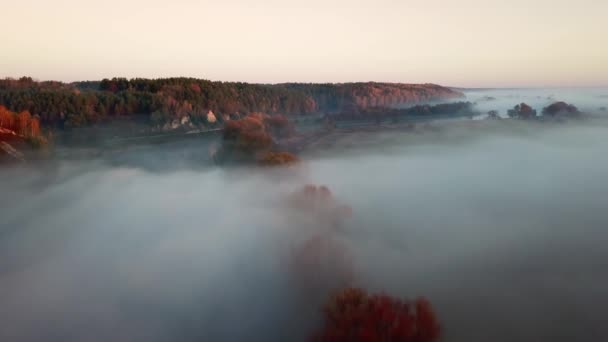 Punkt widzenia z lotu ptaka. Słoneczny i mglisty poranek nad rzeką, mgła w słońcu. — Wideo stockowe