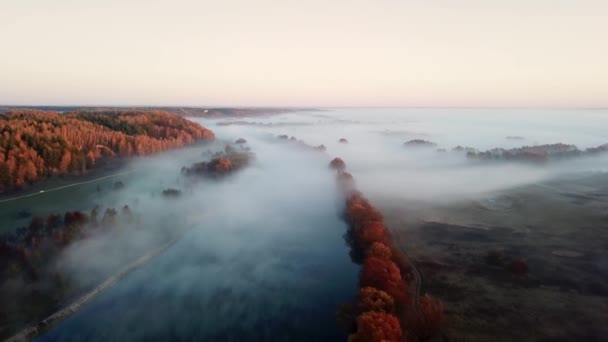 Punkt widzenia z lotu ptaka. Słoneczny i mglisty poranek nad rzeką, mgła w słońcu. — Wideo stockowe