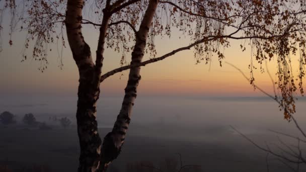 Εναέρια άποψη 4k. Ηλιόλουστο και ομιχλώδες πρωινό πάνω από το ποτάμι, ομίχλη στον ήλιο. — Αρχείο Βίντεο