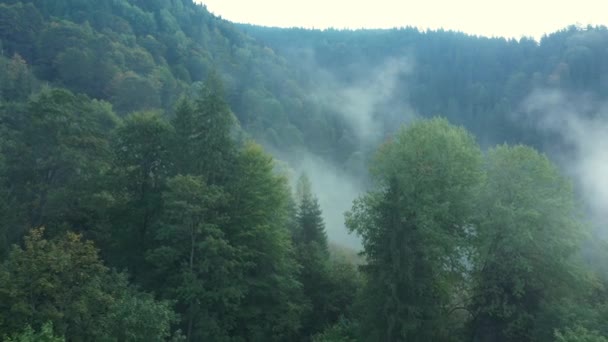 Flying through the clouds above mountain tops. High peaks wonderful morning sunrise natural Landscape — Stock Video