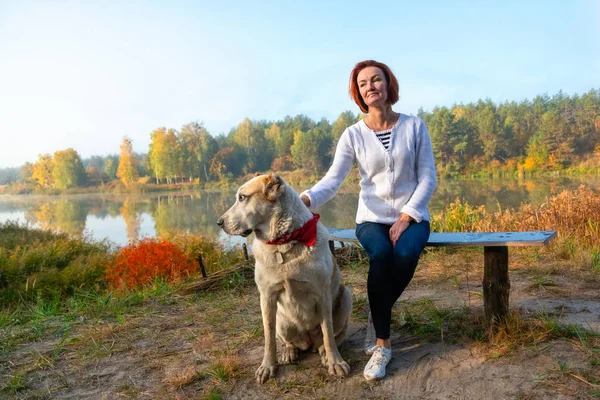 Tourist girl in forest on halt with dog. mistress plays with hunting hound. mistress caresses dog. Happy woman breeder dog walks with dog.