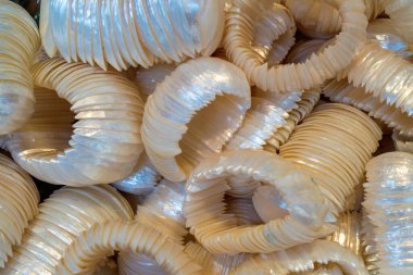 Kehribarla oyala. Gdansk 'ta her yıl düzenlenen ünlü St Dominic Fuarı, Avrupa' nın en büyük ticari ve kültürel açık hava etkinliklerinden biri..