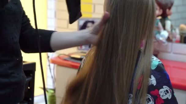 Professionell frisör gör kväll frisyr för flicka. — Stockvideo