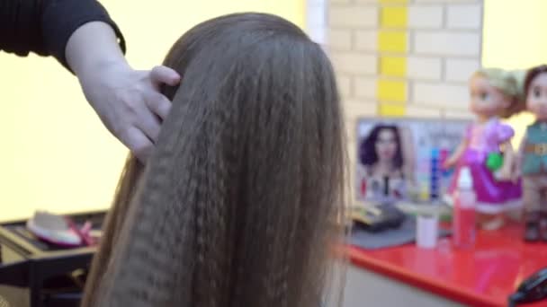 Professional hairdresser doing evening hairstyle for girl. — Stock Video