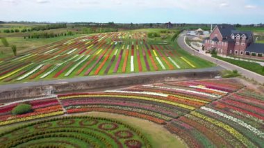 Çok renkli lalelerin olduğu park yeri, havadan çekim..
