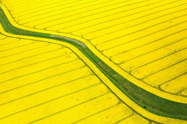 Beautiful rapeseed fields shot from the air.