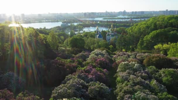 Pemandangan udara bunga ungu di Taman Botani diberi nama setelah Grishko, Kyiv. — Stok Video