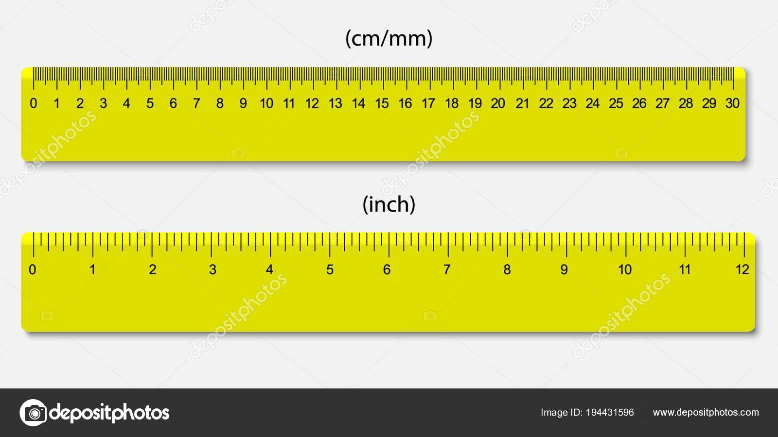 Lot Ga terug Dragende cirkel Rulers, marked in centimeters and inches Stock Vector by  ©grebeshkovmaxim@gmail.com 194431596