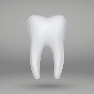 3d diş izole