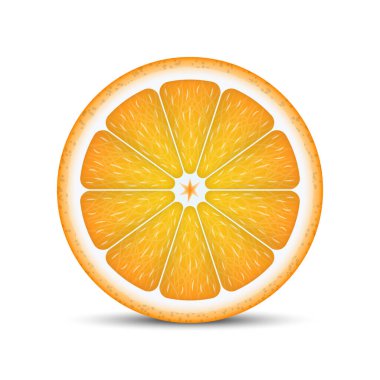 Realistic orange slice