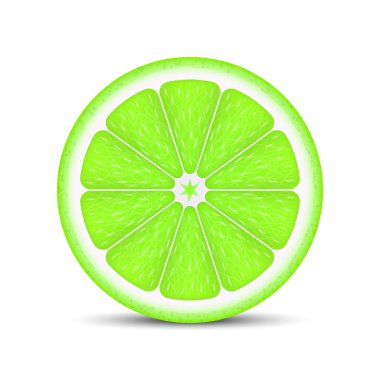 Realistic lime slice 